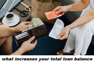 what increases your total loan balance
